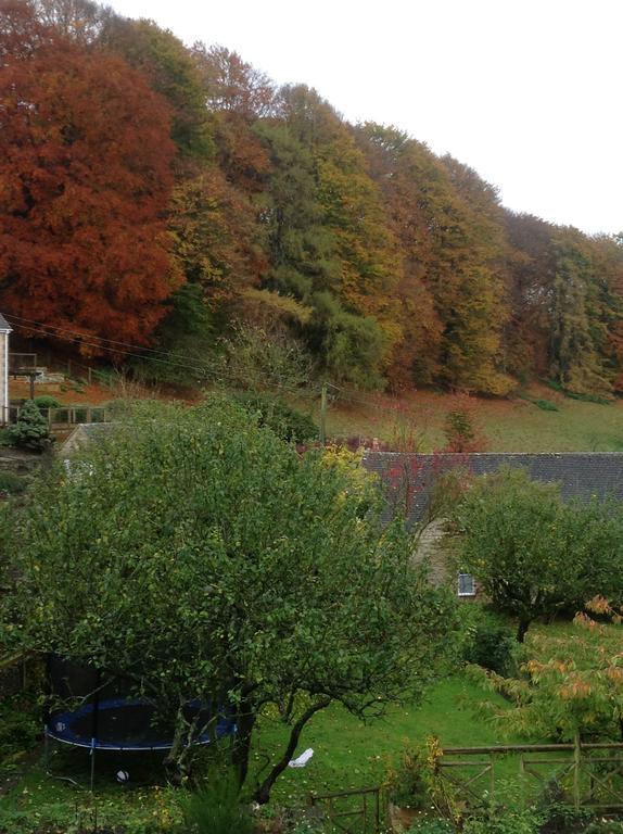 Dove Cottage Bisley  Dış mekan fotoğraf
